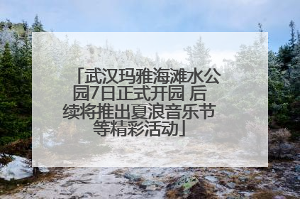 武汉玛雅海滩水公园7日正式开园 后续将推出夏浪音乐节等精彩活动