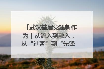 武汉基层党建新作为｜从流入到融入，从“过客”到“先锋” 武汉为流动党员筑起温暖之家