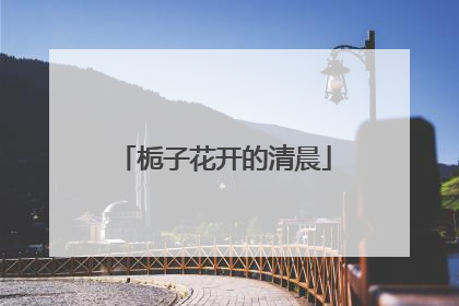 栀子花开的清晨