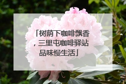 树荫下咖啡飘香，三里屯咖啡驿站品味慢生活