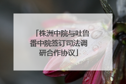 株洲中院与吐鲁番中院签订司法调研合作协议