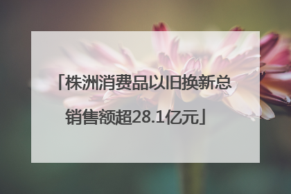 株洲消费品以旧换新总销售额超28.1亿元