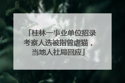桂林一事业单位招录考察人选被指曾虐猫，当地人社局回应