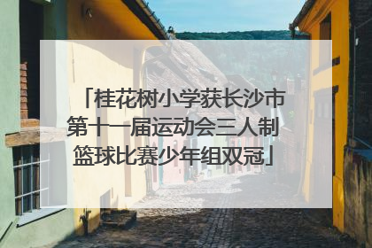 桂花树小学获长沙市第十一届运动会三人制篮球比赛少年组双冠