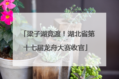梁子湖竞渡！湖北省第十七届龙舟大赛收官