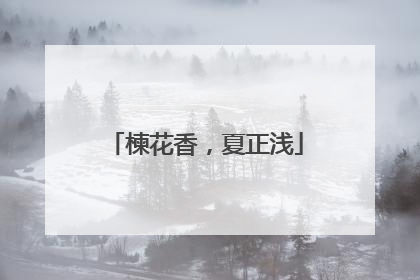 楝花香，夏正浅