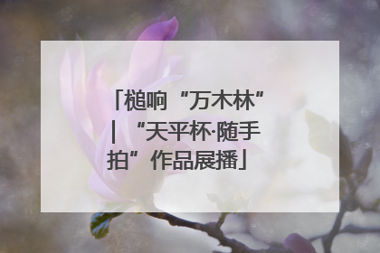 槌响“万木林”｜“天平杯·随手拍”作品展播
