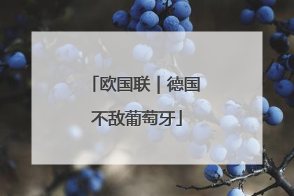欧国联｜德国不敌葡萄牙