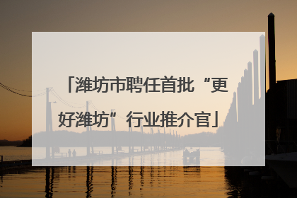 潍坊市聘任首批“更好潍坊”行业推介官
