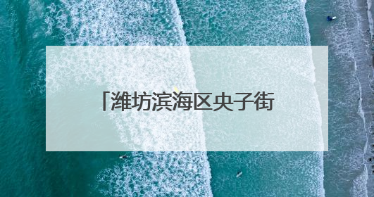 潍坊滨海区央子街道多措并举全力护航粮食丰产丰收