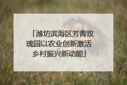 潍坊滨海区芳青玫瑰园以农业创新激活乡村振兴新动能