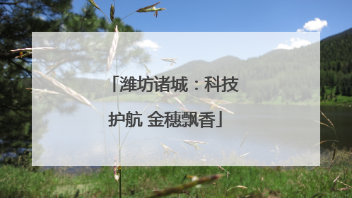 潍坊诸城：科技护航 金穗飘香