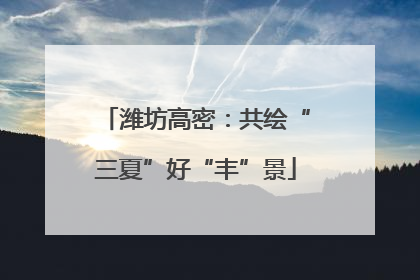 潍坊高密：共绘“三夏”好“丰”景