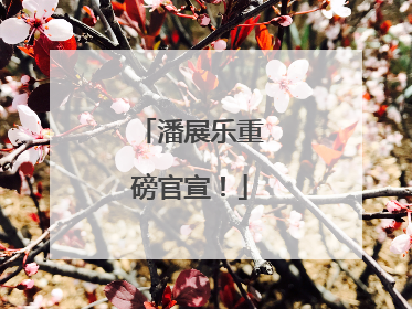 潘展乐重磅官宣！