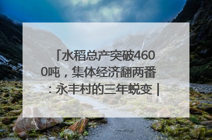 水稻总产突破4600吨，集体经济翻两番：永丰村的三年蜕变｜您牵挂的四川