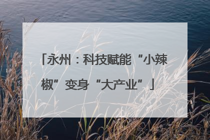 永州：科技赋能“小辣椒”变身“大产业”