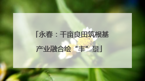 永春：千亩良田筑根基 产业融合绘“丰”景