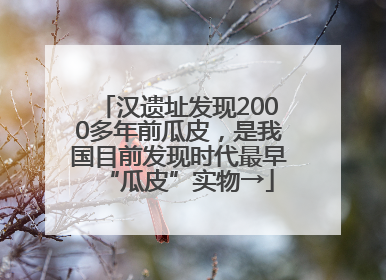 汉遗址发现2000多年前瓜皮，是我国目前发现时代最早“瓜皮”实物→