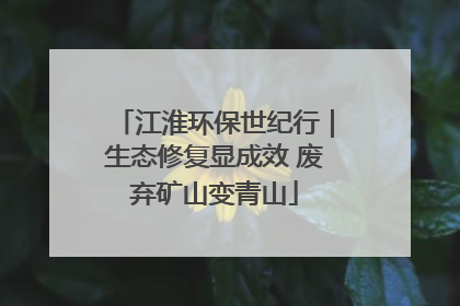 江淮环保世纪行｜生态修复显成效 废弃矿山变青山