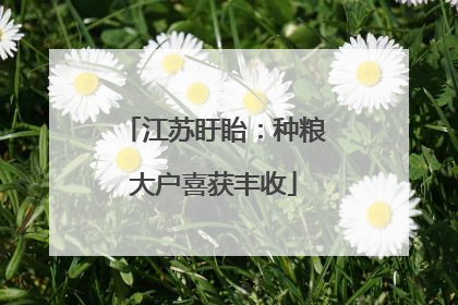 江苏盱眙：种粮大户喜获丰收