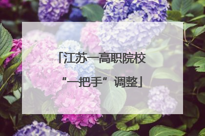 江苏一高职院校“一把手”调整