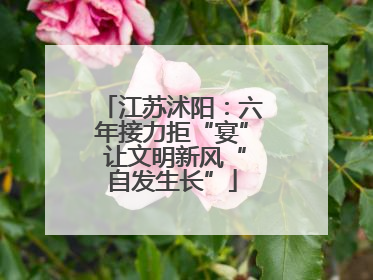 江苏沭阳：六年接力拒“宴” 让文明新风“自发生长”