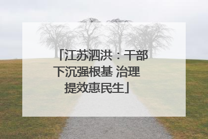 江苏泗洪：干部下沉强根基 治理提效惠民生