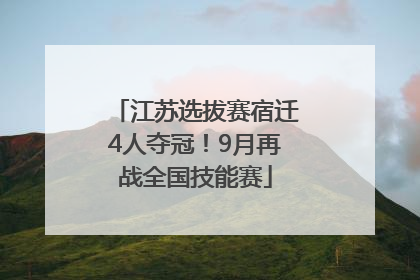 江苏选拔赛宿迁4人夺冠！9月再战全国技能赛