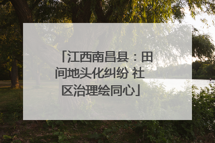江西南昌县：田间地头化纠纷 社区治理绘同心