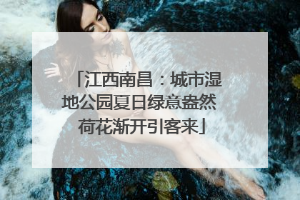 江西南昌：城市湿地公园夏日绿意盎然 荷花渐开引客来