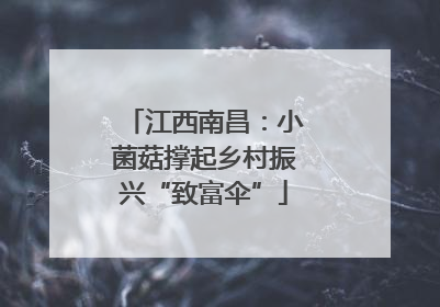 江西南昌：小菌菇撑起乡村振兴“致富伞”