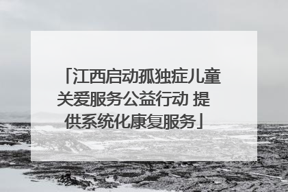 江西启动孤独症儿童关爱服务公益行动 提供系统化康复服务