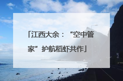 江西大余：“空中管家”护航稻虾共作