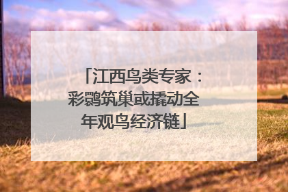 江西鸟类专家：彩鹮筑巢或撬动全年观鸟经济链
