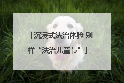 沉浸式法治体验 别样“法治儿童节”