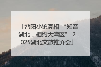 沔阳小镇亮相 “知音湖北，相约大湾区” 2025湖北文旅推介会