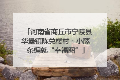 河南省商丘市宁陵县华堡镇陈兑楼村：小藤条编就“幸福图”