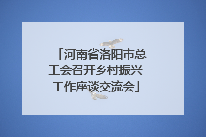 河南省洛阳市总工会召开乡村振兴工作座谈交流会