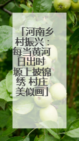 河南乡村振兴：每当黄河日出时 塬上披锦绣 村庄美似画