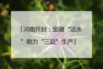 河南开封：金融“活水”助力“三夏”生产