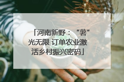 河南新野：“薯”光无限 订单农业激活乡村振兴密码