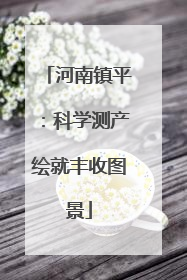 河南镇平：科学测产绘就丰收图景