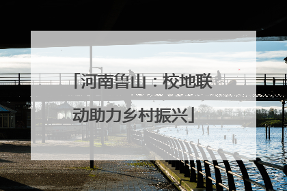 河南鲁山：校地联动助力乡村振兴
