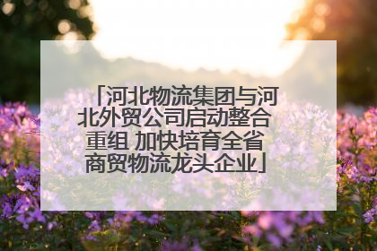 河北物流集团与河北外贸公司启动整合重组 加快培育全省商贸物流龙头企业