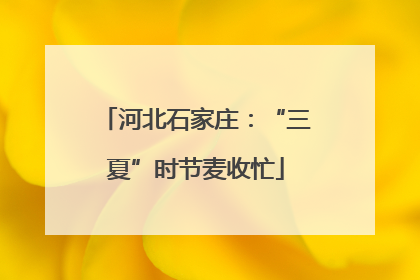 河北石家庄：“三夏”时节麦收忙