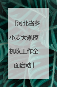 河北省冬小麦大规模机收工作全面启动
