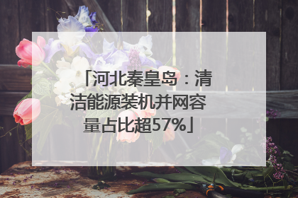 河北秦皇岛：清洁能源装机并网容量占比超57%