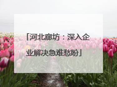 河北廊坊：深入企业解决急难愁盼