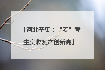 河北辛集：“麦”考生实收测产创新高