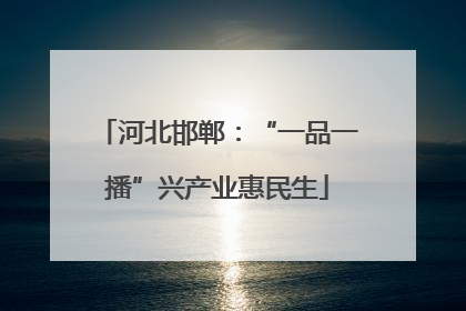 河北邯郸：“一品一播”兴产业惠民生